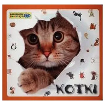 První čtění Poznajemy zwierzęta. Kotki - Praca zbiorowa