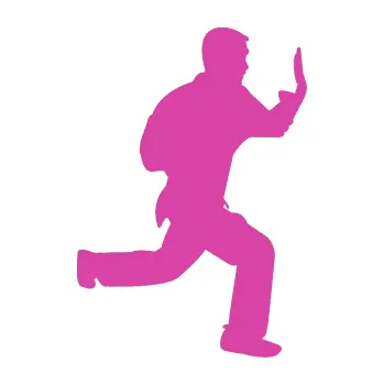 Polep vozidla Karate 002 pravá (16 - růžová) SAMOLEPKA NA AUTO, NÁLEPKA, FÓLIE, POLEP, TUNING, VLASTNÍ TEXT, TISK, AUTOSAMOLEPKY.cz, POLEPY, OBRÁZEK, LOGO, 3D STICKERS