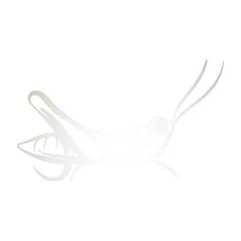 Samolepící dekorace SAMOLEPKA Kobylka 001 pravá (82 - odrazková reflexní bílá) NA AUTO, NÁLEPKA, FÓLIE, POLEP, TUNING, VLASTNÍ TEXT, TISK, AUTOSAMOLEPKY.cz, POLEPY, OBRÁZEK, LOGO, SAMOLEPKY