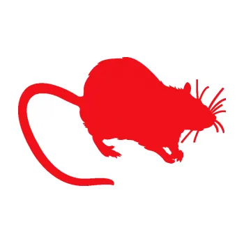 Samolepící dekorace SAMOLEPKA Krysa 002 pravá (10 - červená) NA AUTO, NÁLEPKA, FÓLIE, POLEP, TUNING, VLASTNÍ TEXT, TISK, AUTOSAMOLEPKY.cz, POLEPY, OBRÁZEK, LOGO, SAMOLEPKY