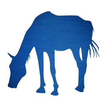 Samolepící dekorace SAMOLEPKA Kůň 008 levá (65 - škrábaný kov modrý) NA AUTO, NÁLEPKA, FÓLIE, POLEP, TUNING, VLASTNÍ TEXT, TISK, AUTOSAMOLEPKY.cz, POLEPY, OBRÁZEK, LOGO, SAMOLEPKY