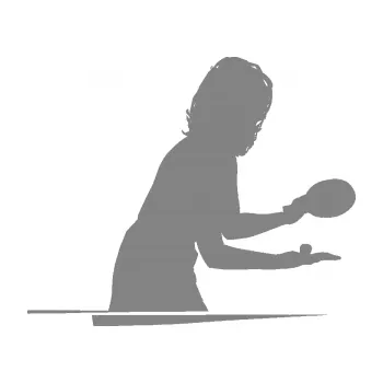 Polep vozidla Ping pong 005 pravá (17 - šedá) SAMOLEPKA NA AUTO, NÁLEPKA, FÓLIE, POLEP, TUNING, VLASTNÍ TEXT, TISK, AUTOSAMOLEPKY.cz, POLEPY, OBRÁZEK, LOGO, 3D STICKERS