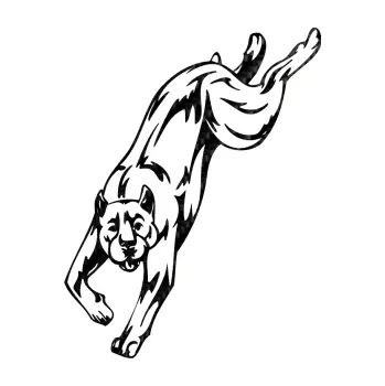 Polep vozidla SAMOLEPKA Pes 008 levá Pitbull (50 - 3D karbon černý) NA AUTO, NÁLEPKA, FÓLIE, POLEP, TUNING, VLASTNÍ TEXT, TISK, AUTOSAMOLEPKY.cz, POLEPY, OBRÁZEK, LOGO, SAMOLEPKY