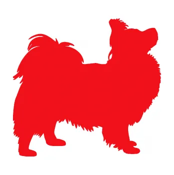 Polep vozidla SAMOLEPKA Pes 149 pravá papillon (10 - červená) NA AUTO, NÁLEPKA, FÓLIE, POLEP, TUNING, VLASTNÍ TEXT, TISK, AUTOSAMOLEPKY.cz, POLEPY, OBRÁZEK, LOGO, SAMOLEPKY