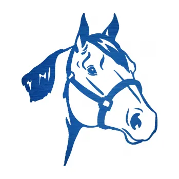 Samolepící dekorace Kůň 040 pravá (65 - škrábaný kov modrý) SAMOLEPKA NA AUTO, NÁLEPKA, FÓLIE, POLEP, TUNING, VLASTNÍ TEXT, TISK, AUTOSAMOLEPKY.cz, POLEPY, OBRÁZEK, LOGO, 3D STICKERS