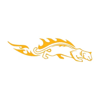 Samolepicí dekorace na vozidlo Animal flames 056 pravá puma (21 - světle oranžová) SAMOLEPKA NA AUTO, NÁLEPKA, FÓLIE, POLEP, TUNING, VLASTNÍ TEXT, TISK, AUTOSAMOLEPKY.cz, POLEPY, OBRÁZEK, LOGO, 3D STICKERS