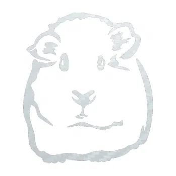 Samolepící dekorace SAMOLEPKA Morče 001 levá (51 - 3D karbon bílý) NA AUTO, NÁLEPKA, FÓLIE, POLEP, TUNING, VLASTNÍ TEXT, TISK, AUTOSAMOLEPKY.cz, POLEPY, OBRÁZEK, LOGO, SAMOLEPKY