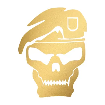 Samolepicí dekorace na vozidlo Lebka army levá (43 - zlatá metalíza) SAMOLEPKA NA AUTO, NÁLEPKA, FÓLIE, POLEP, TUNING, VLASTNÍ TEXT, TISK, AUTOSAMOLEPKY.cz, POLEPY, OBRÁZEK, LOGO, 3D STICKERS