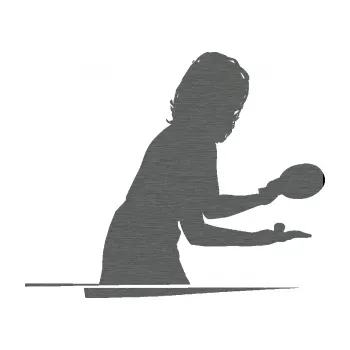 Polep vozidla Ping pong 005 pravá (62 - škrábaný titan) SAMOLEPKA NA AUTO, NÁLEPKA, FÓLIE, POLEP, TUNING, VLASTNÍ TEXT, TISK, AUTOSAMOLEPKY.cz, POLEPY, OBRÁZEK, LOGO, 3D STICKERS