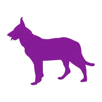 Polep vozidla SAMOLEPKA Pes 079 levá Německý ovčák (14 - fialová) NA AUTO, NÁLEPKA, FÓLIE, POLEP, TUNING, VLASTNÍ TEXT, TISK, AUTOSAMOLEPKY.cz, POLEPY, OBRÁZEK, LOGO, SAMOLEPKY