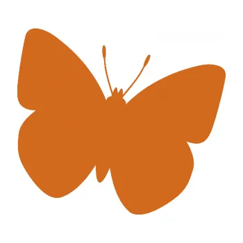 Samolepící dekorace Motýl 011 pravá (26 - oříšková) SAMOLEPKA NA AUTO, NÁLEPKA, FÓLIE, POLEP, TUNING, VLASTNÍ TEXT, TISK, AUTOSAMOLEPKY.cz, POLEPY, OBRÁZEK, LOGO, 3D STICKERS