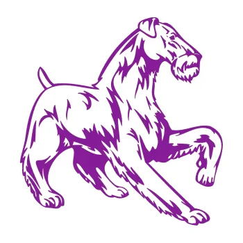 Polep vozidla SAMOLEPKA Pes 004 pravá Knírač (14 - fialová) NA AUTO, NÁLEPKA, FÓLIE, POLEP, TUNING, VLASTNÍ TEXT, TISK, AUTOSAMOLEPKY.cz, POLEPY, OBRÁZEK, LOGO, SAMOLEPKY