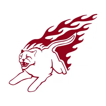 Samolepicí dekorace na vozidlo Animal flames 096 levá puma (07 - bordó vínová) SAMOLEPKA NA AUTO, NÁLEPKA, FÓLIE, POLEP, TUNING, VLASTNÍ TEXT, TISK, AUTOSAMOLEPKY.cz, POLEPY, OBRÁZEK, LOGO, 3D STICKERS