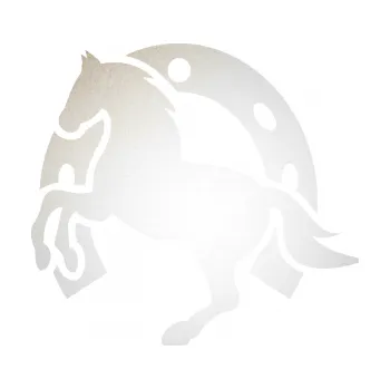 Samolepící dekorace SAMOLEPKA Kůň 033 levá podkova (82 - odrazková reflexní bílá) NA AUTO, NÁLEPKA, FÓLIE, POLEP, TUNING, VLASTNÍ TEXT, TISK, AUTOSAMOLEPKY.cz, POLEPY, OBRÁZEK, LOGO, SAMOLEPKY