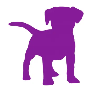 Polep vozidla SAMOLEPKA Pes 056 pravá štěně (14 - fialová) NA AUTO, NÁLEPKA, FÓLIE, POLEP, TUNING, VLASTNÍ TEXT, TISK, AUTOSAMOLEPKY.cz, POLEPY, OBRÁZEK, LOGO, SAMOLEPKY