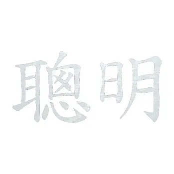 Polep vozidla SAMOLEPKA Čínský znak Intelligent (51 - 3D karbon bílý) NA AUTO, NÁLEPKA, FÓLIE, POLEP, TUNING, VLASTNÍ TEXT, TISK, AUTOSAMOLEPKY.cz, POLEPY, OBRÁZEK, LOGO, SAMOLEPKY