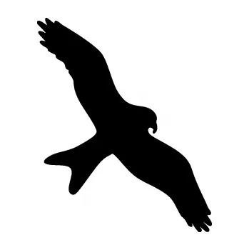 Samolepící dekorace SAMOLEPKA Dravec na sklo 002 pravá (01 - černá) NA AUTO, NÁLEPKA, FÓLIE, POLEP, TUNING, VLASTNÍ TEXT, TISK, AUTOSAMOLEPKY.cz, POLEPY, OBRÁZEK, LOGO, SAMOLEPKY