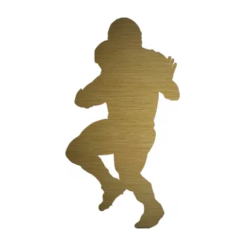 Polep vozidla Americký fotbal 009 levá (64 - škrábaný kov zlatý) SAMOLEPKA NA AUTO, NÁLEPKA, FÓLIE, POLEP, TUNING, VLASTNÍ TEXT, TISK, AUTOSAMOLEPKY.cz, POLEPY, OBRÁZEK, LOGO, 3D STICKERS