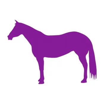 Samolepící dekorace Kůň 007 levá (14 - fialová) SAMOLEPKA NA AUTO, NÁLEPKA, FÓLIE, POLEP, TUNING, VLASTNÍ TEXT, TISK, AUTOSAMOLEPKY.cz, POLEPY, OBRÁZEK, LOGO, 3D STICKERS