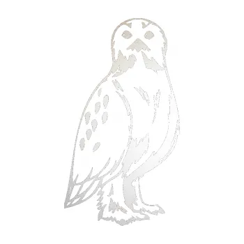 Samolepicí dekorace na vozidlo Predators 061 pravá sova (82 - odrazková reflexní bílá) SAMOLEPKA NA AUTO, NÁLEPKA, FÓLIE, POLEP, TUNING, VLASTNÍ TEXT, TISK, AUTOSAMOLEPKY.cz, POLEPY, OBRÁZEK, LOGO, 3D STICKERS