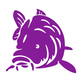 Polep vozidla SAMOLEPKA Kapr 002 levá (14 - fialová) NA AUTO, NÁLEPKA, FÓLIE, POLEP, TUNING, VLASTNÍ TEXT, TISK, AUTOSAMOLEPKY.cz, POLEPY, OBRÁZEK, LOGO, SAMOLEPKY