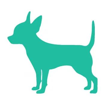 Polep vozidla SAMOLEPKA Pes 138 levá čivava (25 - tyrkysová) NA AUTO, NÁLEPKA, FÓLIE, POLEP, TUNING, VLASTNÍ TEXT, TISK, AUTOSAMOLEPKY.cz, POLEPY, OBRÁZEK, LOGO, SAMOLEPKY