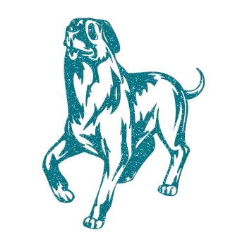 samolepka Pes 047 levá (92 - Ultra Metalic tyrkysová) SAMOLEPKA NA AUTO, NÁLEPKA, FÓLIE, POLEP, TUNING, VLASTNÍ TEXT, TISK, AUTOSAMOLEPKY.cz, POLEPY, OBRÁZEK, LOGO, 3D STICKERS