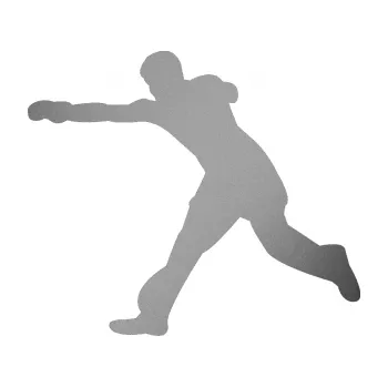 Polep vozidla Karate 004 levá (42 - stříbrná metalíza) SAMOLEPKA NA AUTO, NÁLEPKA, FÓLIE, POLEP, TUNING, VLASTNÍ TEXT, TISK, AUTOSAMOLEPKY.cz, POLEPY, OBRÁZEK, LOGO, 3D STICKERS