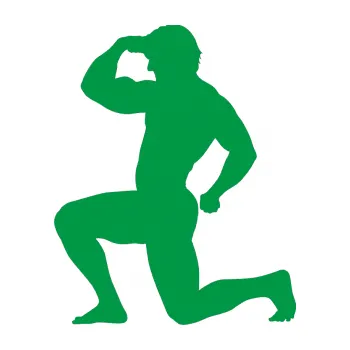 Polep vozidla Kulturista 007 levá (12 - zelená) SAMOLEPKA NA AUTO, NÁLEPKA, FÓLIE, POLEP, TUNING, VLASTNÍ TEXT, TISK, AUTOSAMOLEPKY.cz, POLEPY, OBRÁZEK, LOGO, 3D STICKERS