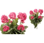 Autronic Muškáty růžové 40 cm