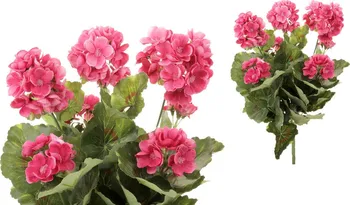Umělá květina Autronic Muškáty růžové 40 cm