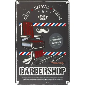 Plechová cedule ACTIVESHOP Dekorační tabule BARBER B021