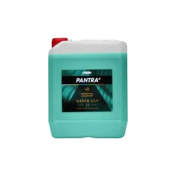 Čistič podlahy PANTRA PROFESIONAL 11 GREEN LILY 5L