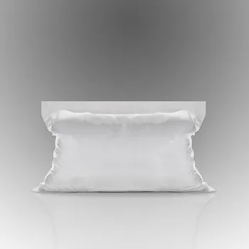 Přisada na vaření a pečení Aromka Brno Práškové aroma s příchutí sýru S + Š Prodávané množství: 5 kg