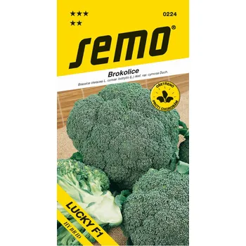 Semeno SEMO Lucky F1 brokolice 40 ks
