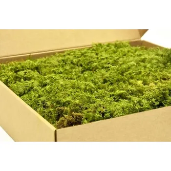 umělá květina Stabilizovaný, preparovaný kapradinový mech