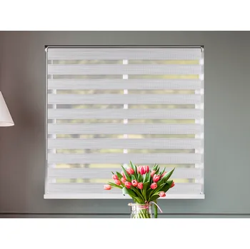 Roleta FEXI Zatemňovací Roleta Den a noc, Světlá bříza, B 002 v POLO kazetě, 150x30 cm