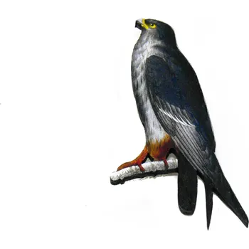 Brož art-wood.cz Dřevěná brož - Sokol