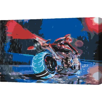 Malování podle čísel - Jízda v dešti Velikost: 40x60cm, Rámování: Pouze srolované plátno