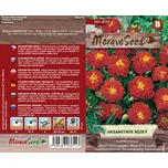 MoravoSeed Aksamitník nízký plný…