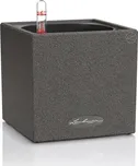 Lechuza Canto Stone Square 14 cm