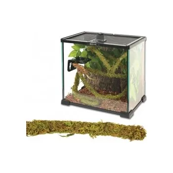 Dekorace do terária Liána s mechem ReptiZoo Jungle Vines 1,5 × 200 cm