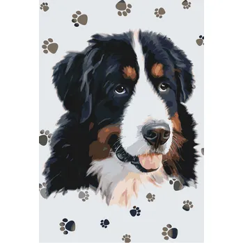 Malování podle čísel - Pes s tlapkami okolo Velikost: 40x60cm, Rámování: Pouze srolované plátno