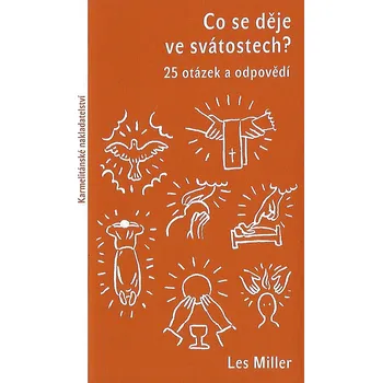 Encyklopedie Co se děje ve svátostech? (25 otázek a odpovědí)