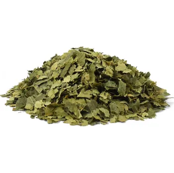 Poštovní známka Bříza list (Betulae folium cs.)