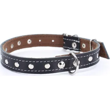 Obojek pro psa Loon kožený obojek pro psa | 22 – 65 cm Barva: Černá, Obvod krku: 56 - 65 cm, Šířka: 2,5 cm