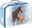 Argus Školní kufřík 35 x 23 x 10 cm, Wild Horses