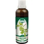 Naděje P37 tin. z pupenů Ořešák královský 50ml