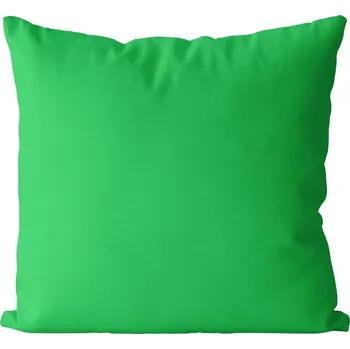 Dekorativní polštářek Polštář Zelený světlý (Velikost: 40 x 40 cm)