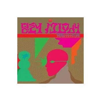 Zahraniční hudba Oczy Mlody / Vinyl - Flaming Lips [LP]